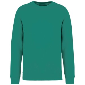 Native Spirit Drifter pulver, Gemstone Green