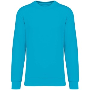 Native Spirit Drifter pulver, Light Turquoise