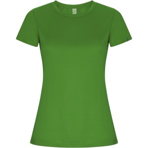 Roly Imola ni sportpl, Green Fern