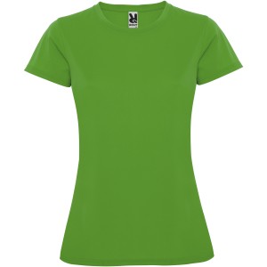 Roly Montecarlo ni sportpl, Green Fern